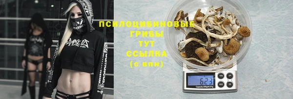 каннабис Алексин
