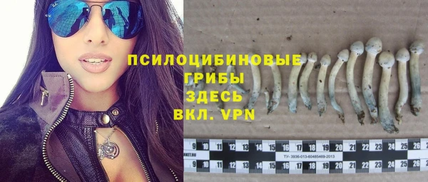 спайс Краснослободск