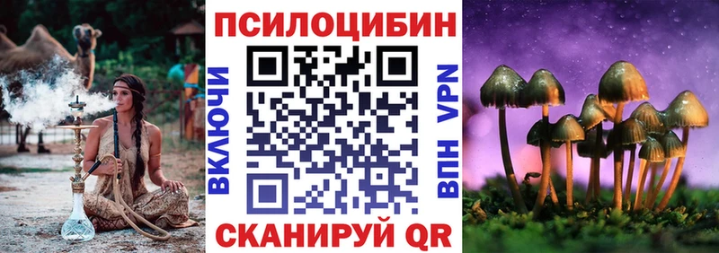 Псилоцибиновые грибы прущие грибы  Купить закладки  Верея 