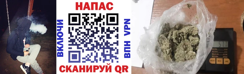 Купить закладки  Верея  Шишки марихуана Ganja 